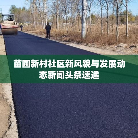 苗圃新村社区新风貌与发展动态新闻头条速递