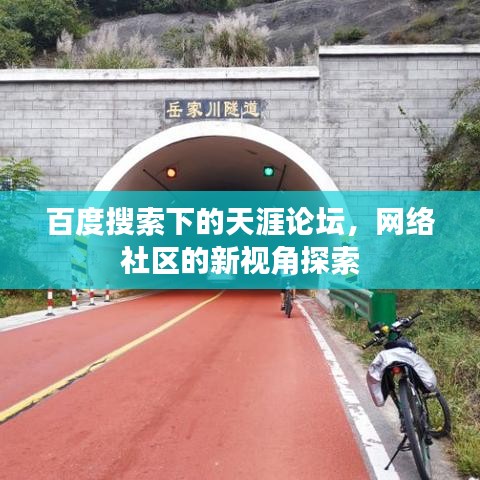 百度搜索下的天涯论坛，网络社区的新视角探索
