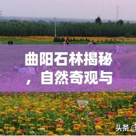 曲阳石林揭秘，自然奇观与最新动态新闻头条