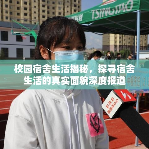 校园宿舍生活揭秘，探寻宿舍生活的真实面貌深度报道