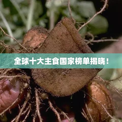 全球十大主食国家榜单揭晓！
