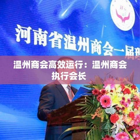 温州商会高效运行：温州商会执行会长 