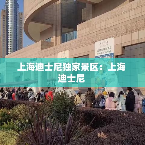 上海迪士尼独家景区：上海 迪士尼 
