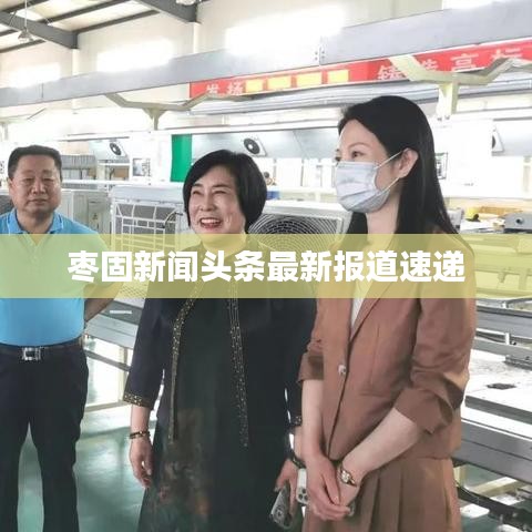 枣固新闻头条最新报道速递