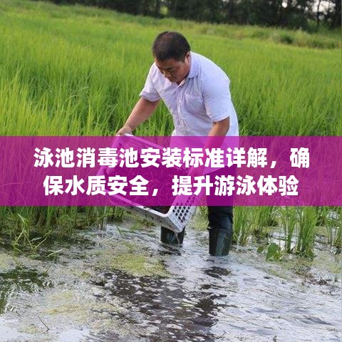 泳池消毒池安装标准详解，确保水质安全，提升游泳体验