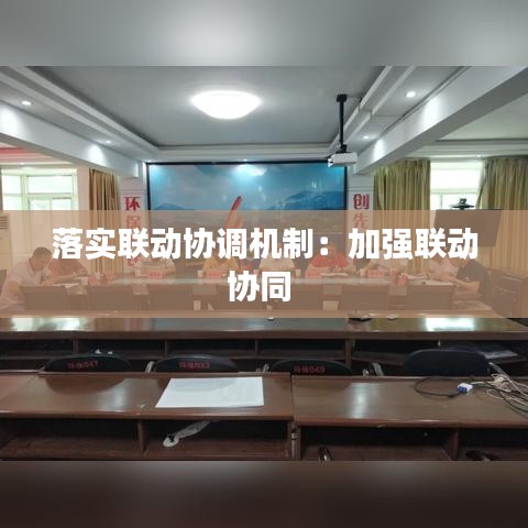 落实联动协调机制：加强联动协同 