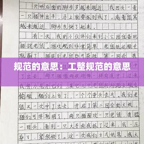 规范的意思：工整规范的意思 