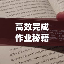 高效完成作业秘籍，提升学习效率的宣传攻略！