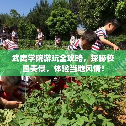 武夷学院游玩全攻略，探秘校园美景，体验当地风情！