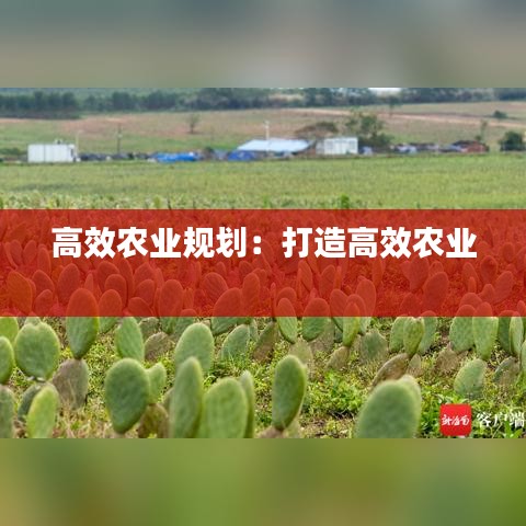高效农业规划：打造高效农业 