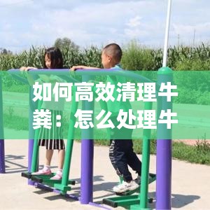 如何高效清理牛粪：怎么处理牛粪最科学 