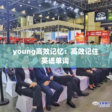 young高效记忆：高效记住英语单词 