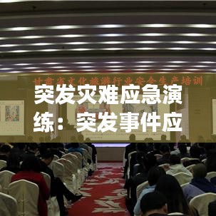 突发灾难应急演练：突发事件应急演练指南2016版本 