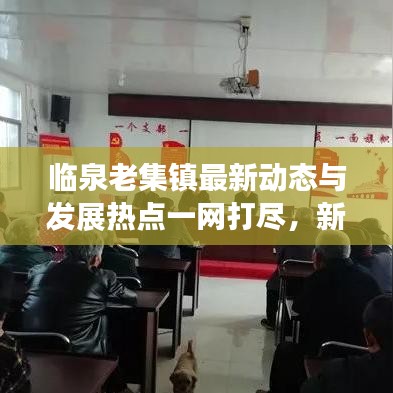 临泉老集镇最新动态与发展热点一网打尽，新闻头条下载探索