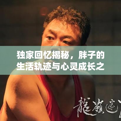 独家回忆揭秘，胖子的生活轨迹与心灵成长之旅