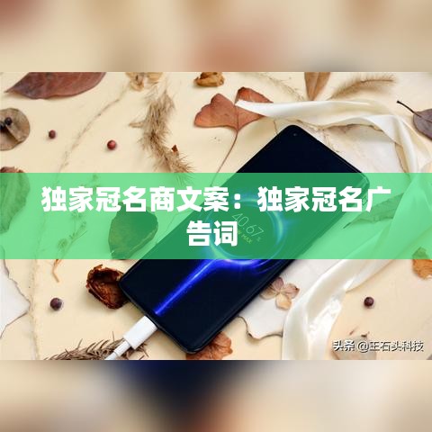 独家冠名商文案：独家冠名广告词 