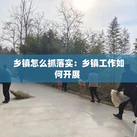 乡镇怎么抓落实：乡镇工作如何开展 