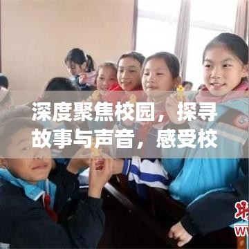 深度聚焦校园，探寻故事与声音，感受校园生活的多彩魅力