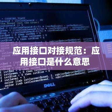 应用接口对接规范：应用接口是什么意思 