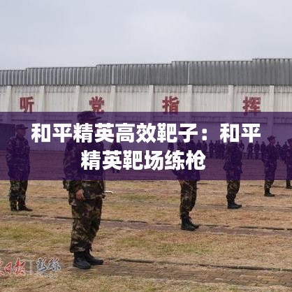 和平精英高效靶子：和平精英靶场练枪 