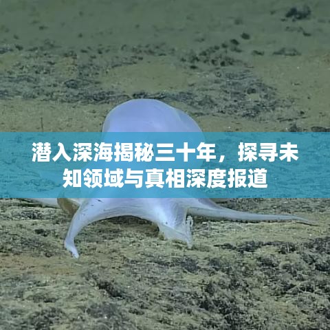 潜入深海揭秘三十年，探寻未知领域与真相深度报道