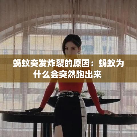 蚂蚁突发炸裂的原因：蚂蚁为什么会突然跑出来 