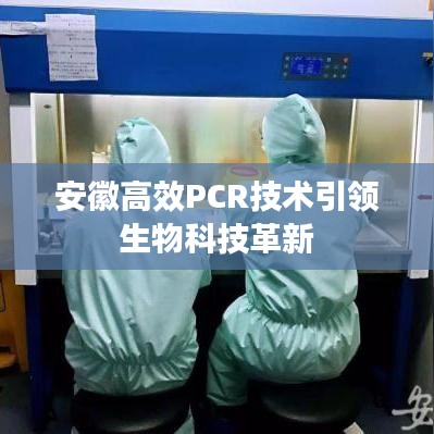 安徽高效PCR技术引领生物科技革新