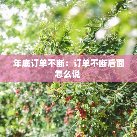 年底订单不断：订单不断后面怎么说 
