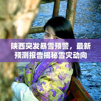 陕西突发暴雪预警，最新预测报告揭秘雪灾动向