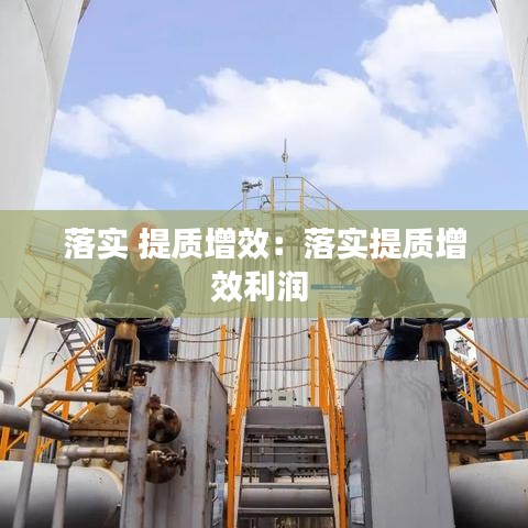 落实 提质增效：落实提质增效利润 