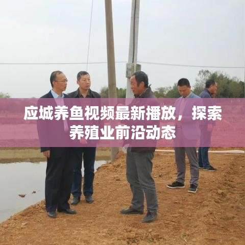 应城养鱼视频最新播放，探索养殖业前沿动态