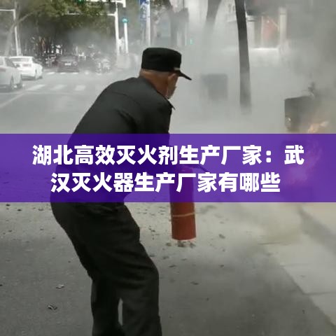 湖北高效灭火剂生产厂家：武汉灭火器生产厂家有哪些 