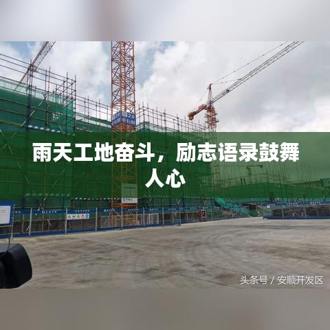 逆风飞扬 第2页