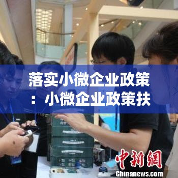 落实小微企业政策：小微企业政策扶持 