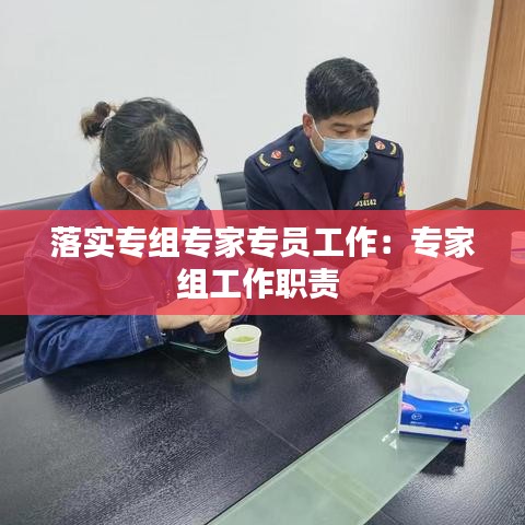 落实专组专家专员工作：专家组工作职责 