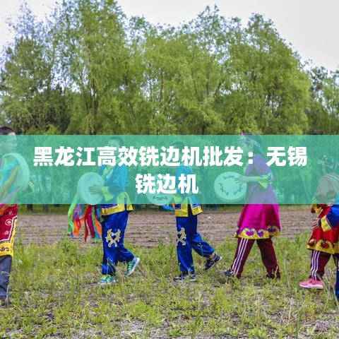 黑龙江高效铣边机批发：无锡铣边机 