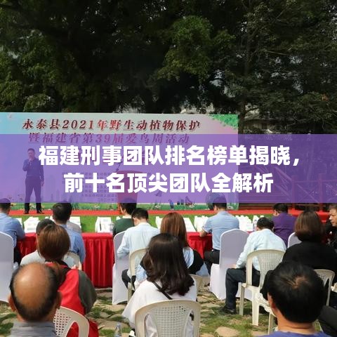 福建刑事团队排名榜单揭晓，前十名顶尖团队全解析