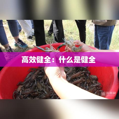 高效健全：什么是健全 