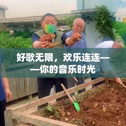 好歌无限，欢乐连连——你的音乐时光