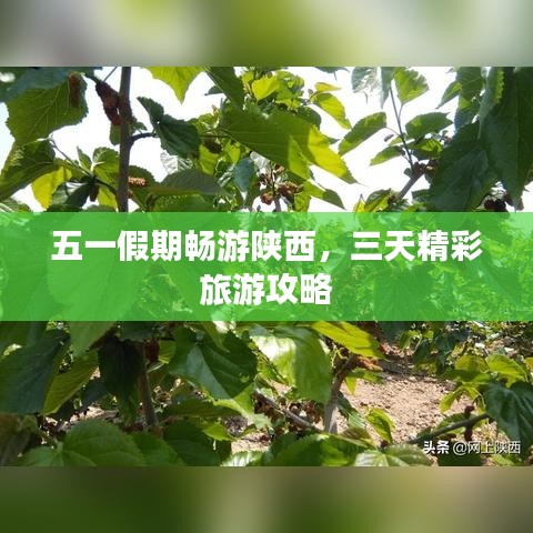 五一假期畅游陕西，三天精彩旅游攻略