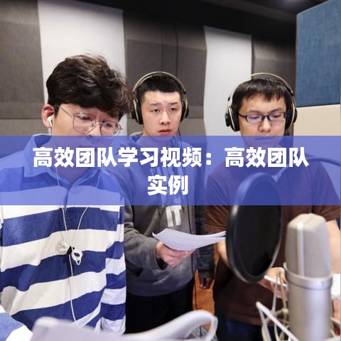 高效团队学习视频：高效团队实例 