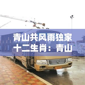 青山共风雨独家十二生肖：青山一道共担风雨是什么意思 