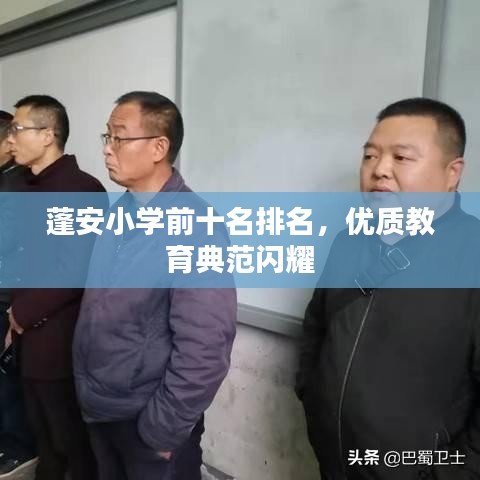 蓬安小学前十名排名，优质教育典范闪耀