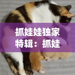 抓娃娃独家特辑：抓娃娃官网 
