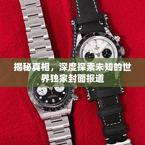 揭秘真相，深度探索未知的世界独家封面报道
