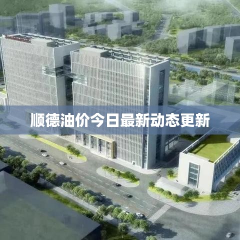 顺德油价今日最新动态更新