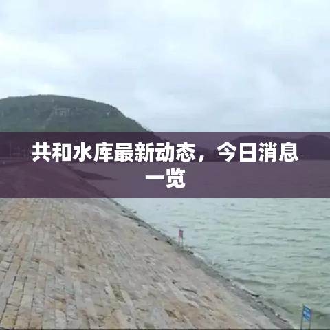 共和水库最新动态，今日消息一览