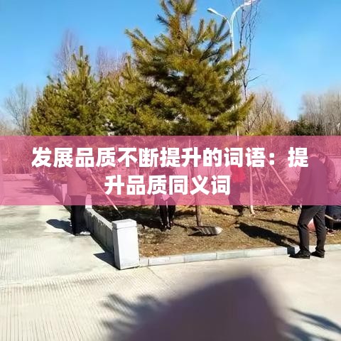 发展品质不断提升的词语：提升品质同义词 