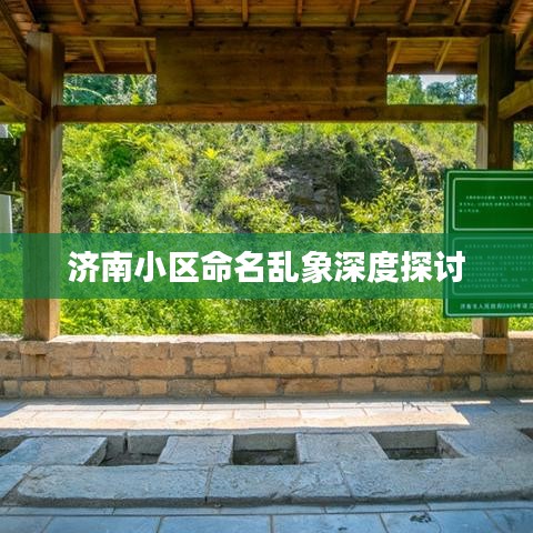 济南小区命名乱象深度探讨