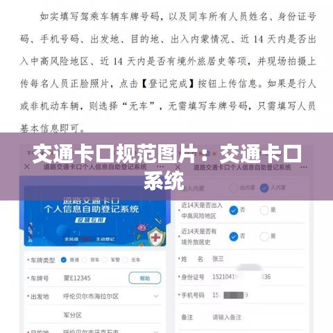 交通卡口规范图片：交通卡口系统 